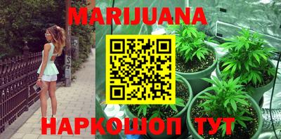 apvp Кингисепп