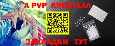 apvp Кингисепп