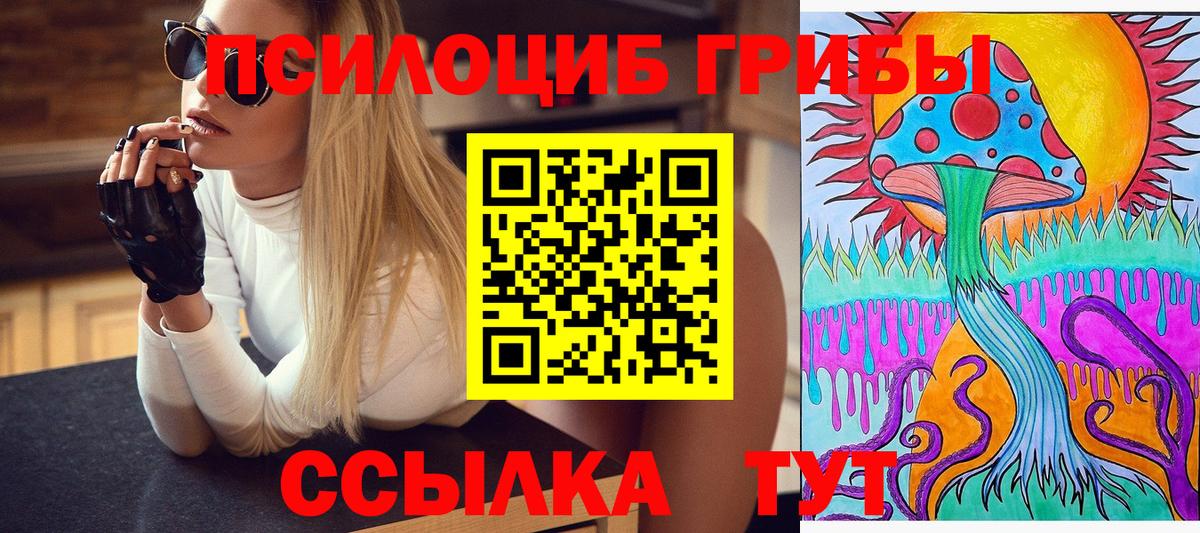Галлюциногенные грибы прущие грибы Крымск