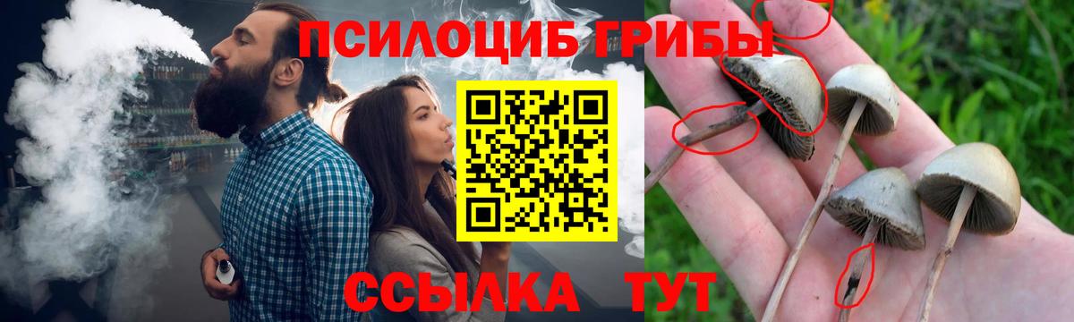 Галлюциногенные грибы Cubensis  Вход с VPN  Крымск 